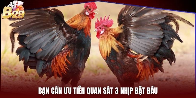 Bạn cần ưu tiên quan sát 3 nhịp bật đầu