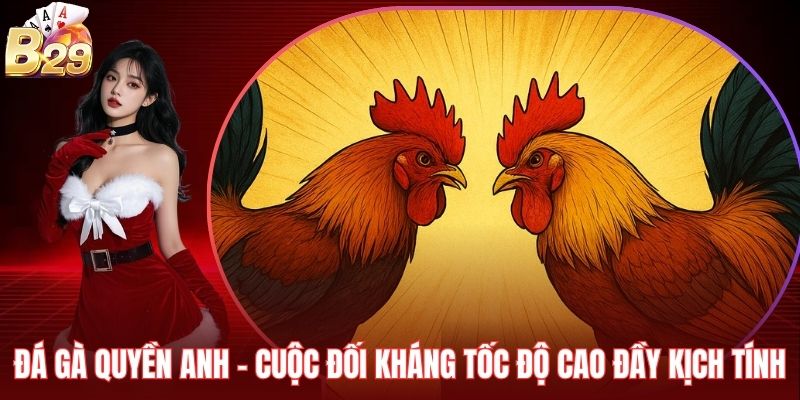 Đá Gà Quyền Anh – Cuộc Đối Kháng Tốc Độ Cao Đầy Kịch Tính