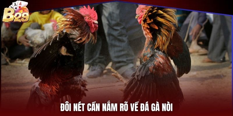 Đôi nét cần nắm rõ về đá gà nòi