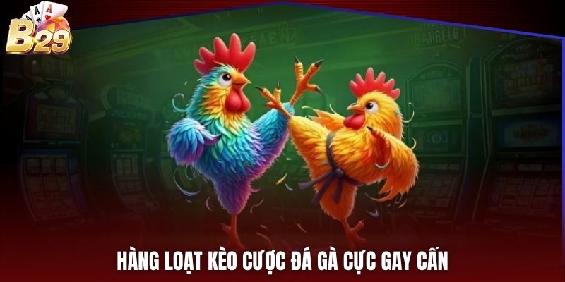 Hàng loạt kèo cược đá gà cực gay cấn