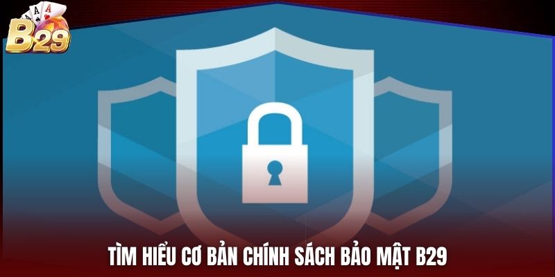 Tìm hiểu cơ bản chính sách bảo mật B29