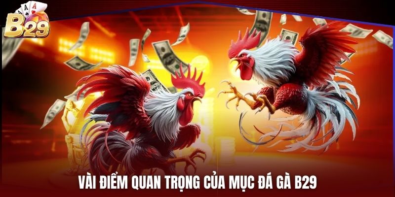 Vài điểm quan trọng của mục đá gà B29